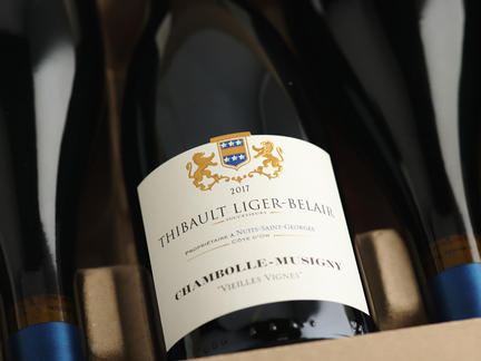Explore the red wines of Burgundy, Wednesday 2nd November 2022