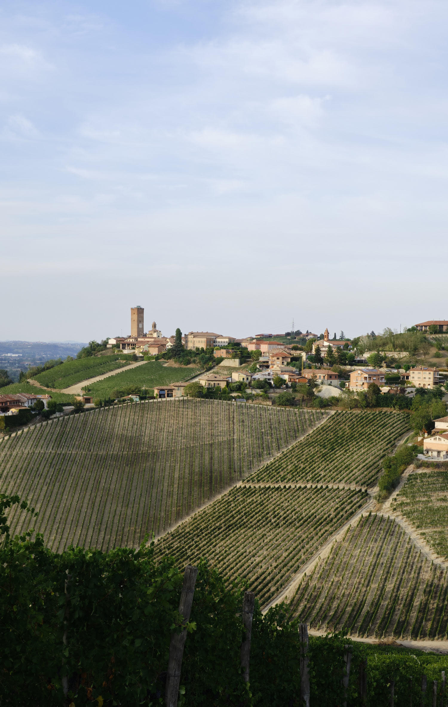 Introduction to the Wines of Piedmont, Thursday 25th May 2023