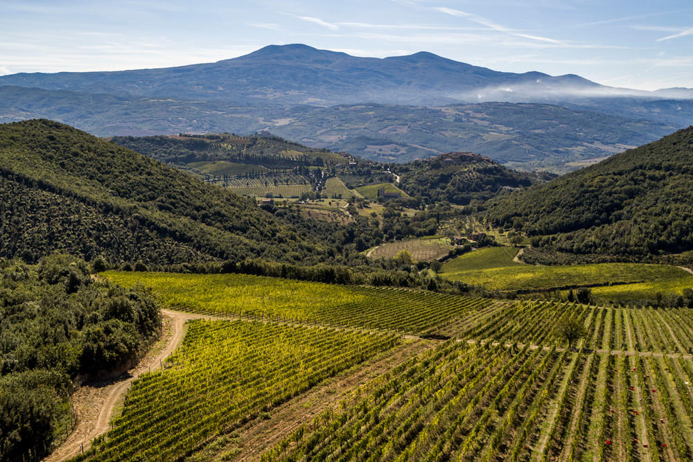 Buy Brunello di Montalcino Tasting, Monday 19th February 2024 ...