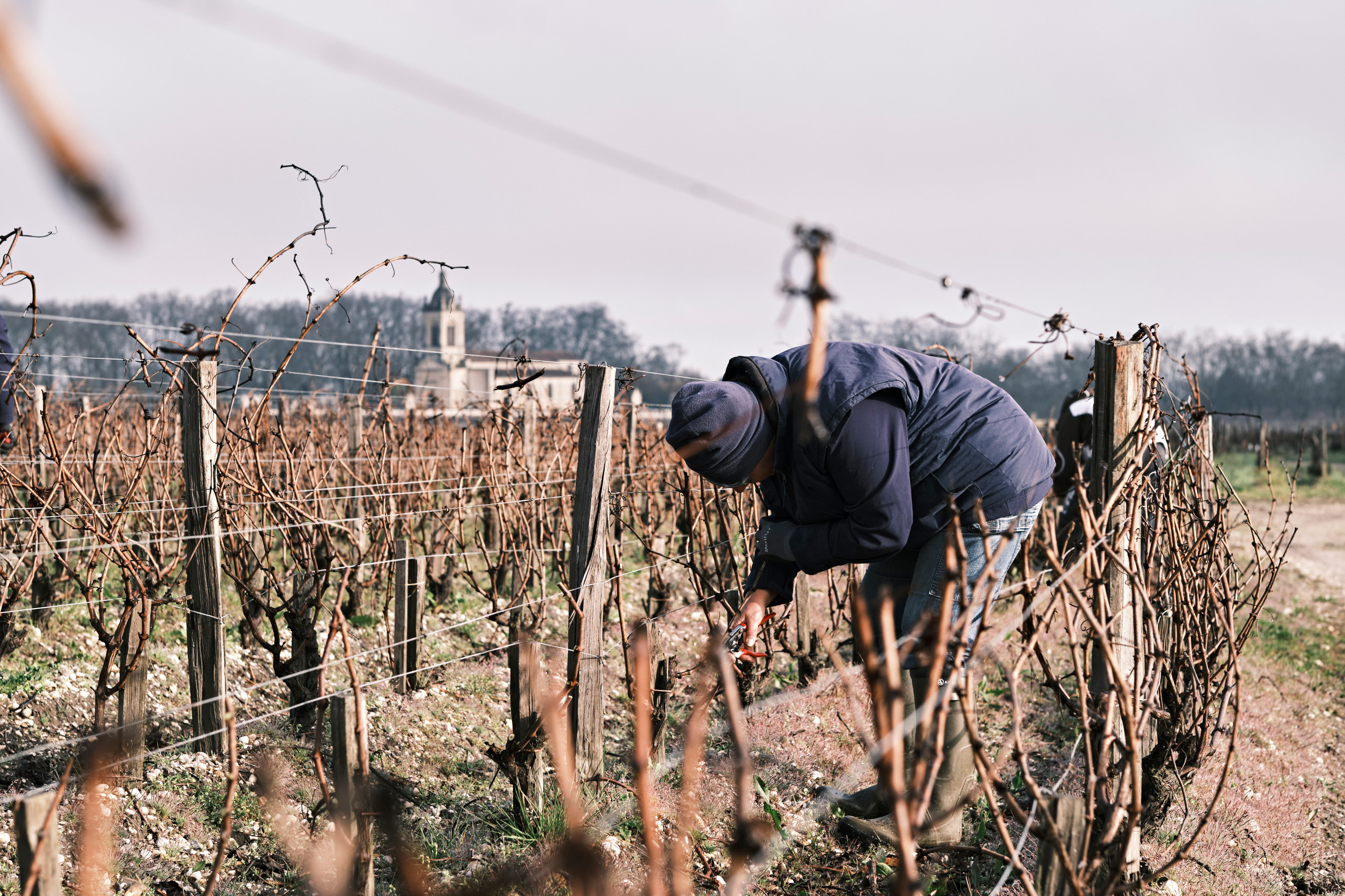 Buy Introduction to the Wines of Bordeaux, Thursday 4th April 2024  90068001362 - Berry Bros. & Rudd