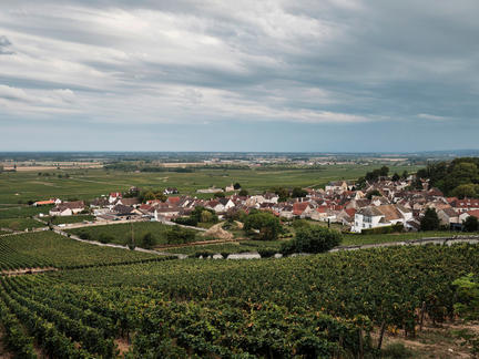 Deep Dive: The Red Wines of Burgundy, Friday 31st May 2024
