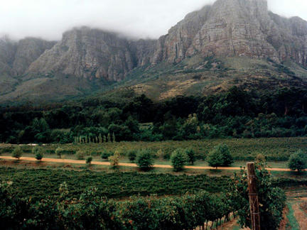 Introduction to the Wines of the South Africa, Wednesday 22nd May 2024