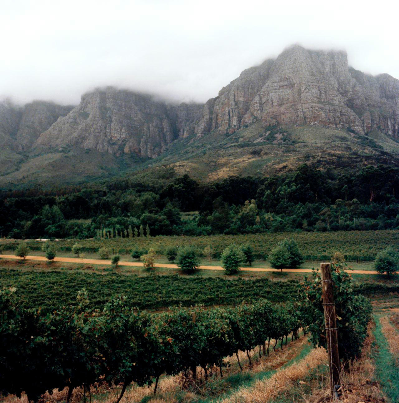 Buy South Africa Fine Wine Dinner, Friday 22nd November 2024 ...