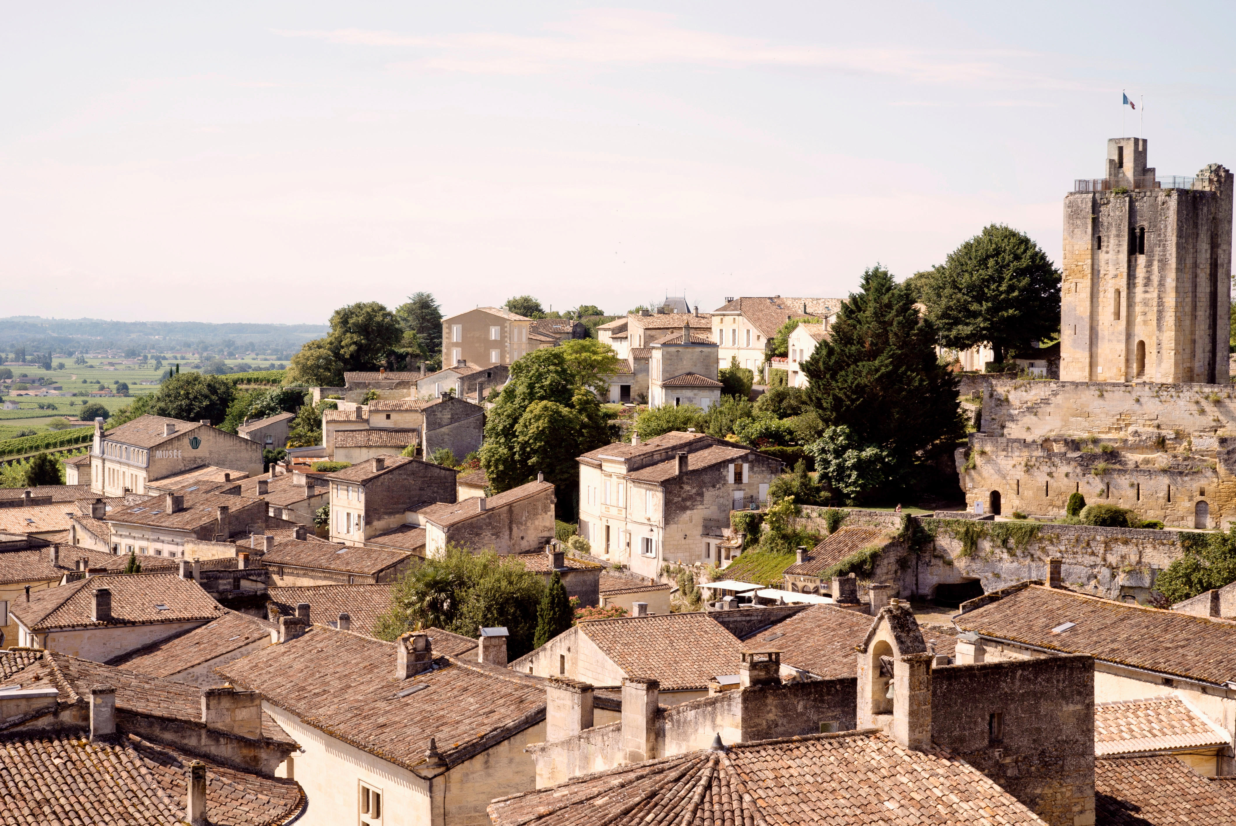 Bordeaux Deep Dive: The Right Bank & Pessac-Léognan, Thursday 14th November 2024