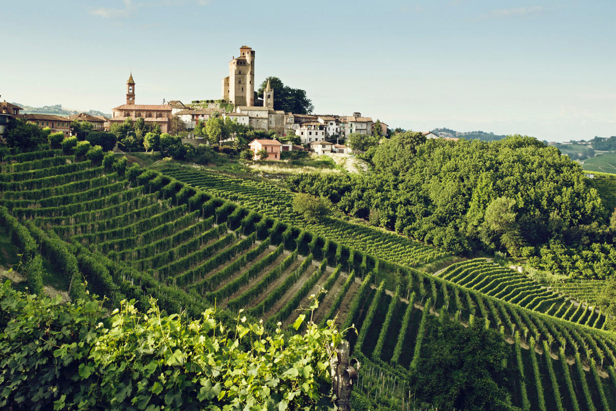 Introduction to the Wines Of Italy, Friday 15th November 2024