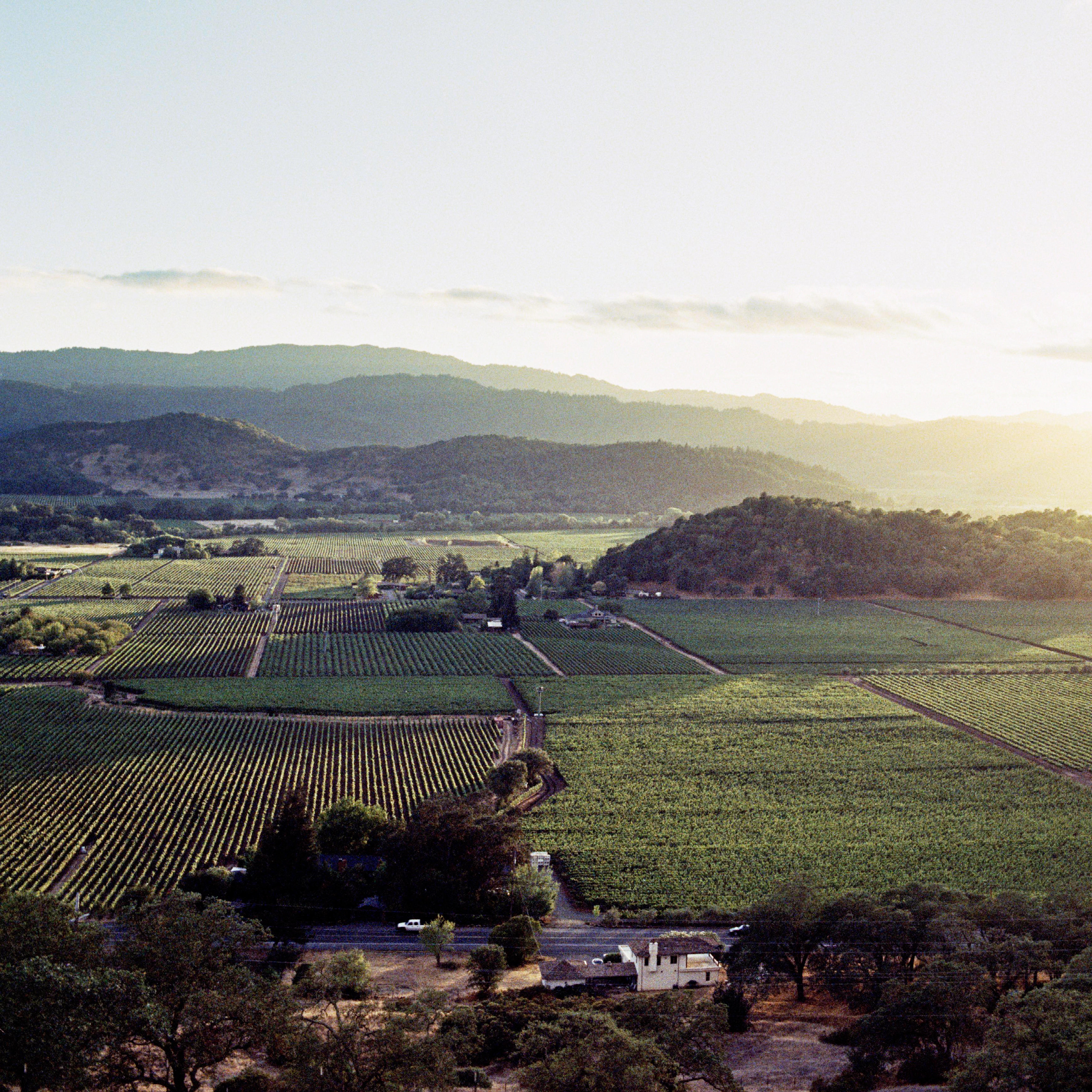 West Coast Tasting, Wednesday 2nd April 2025