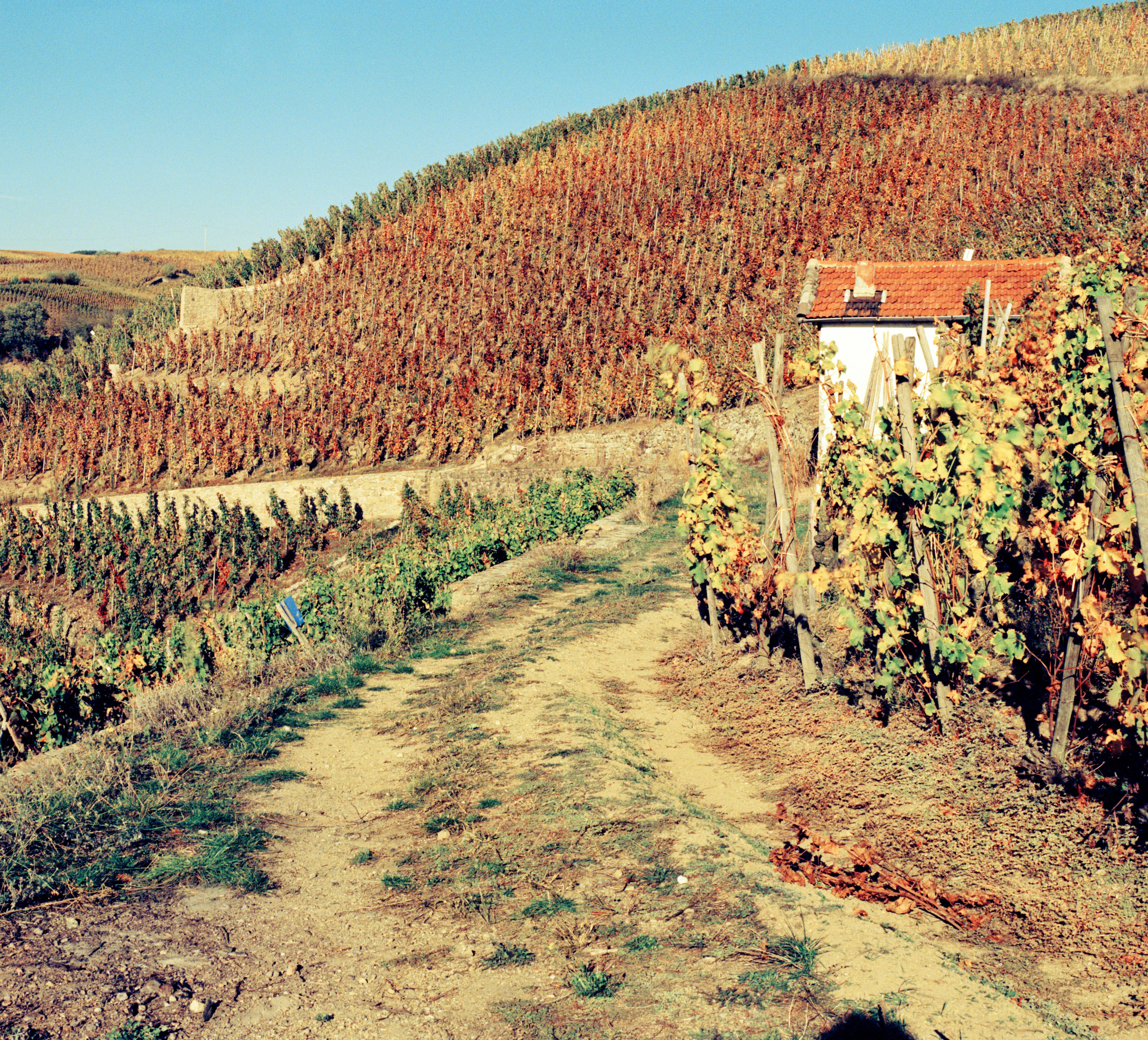 A Southern French Fine Wine Lunch, Friday 30th May 2025