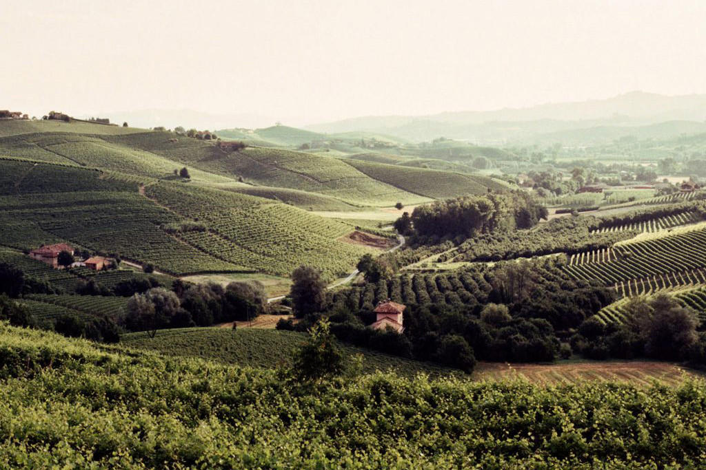 Piedmont Tasting, Monday 14th April 2025