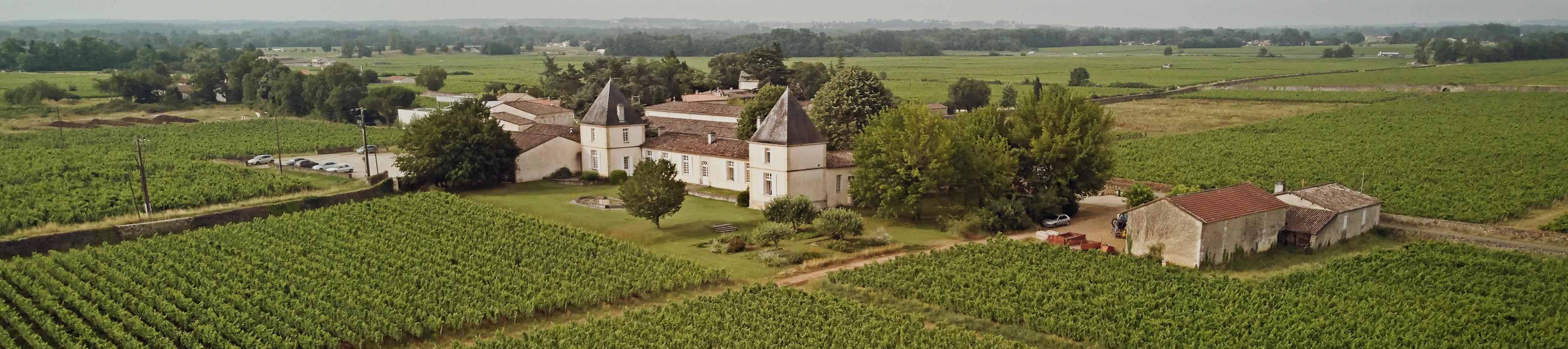 Bordeaux wine to drink now