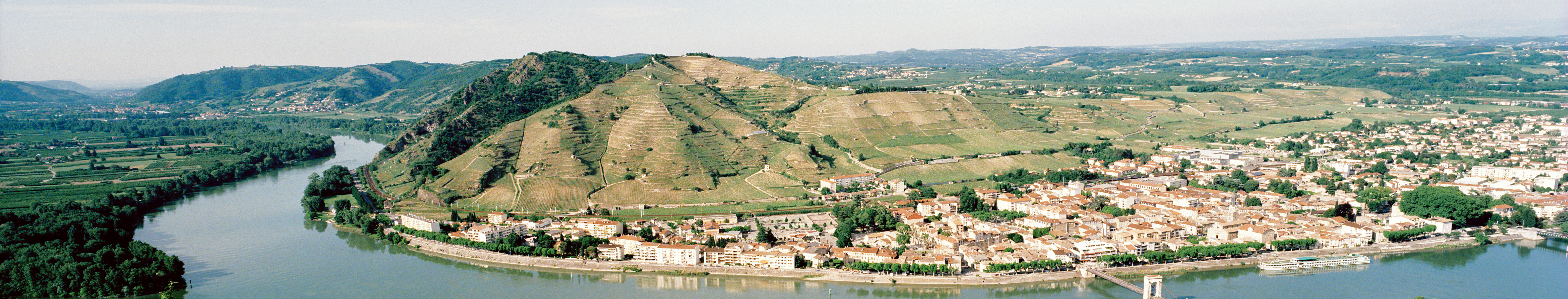 Rhône wine to drink now